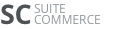NetSuite Test logo